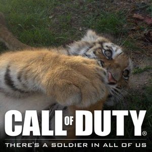 Meet your Posher, Rick